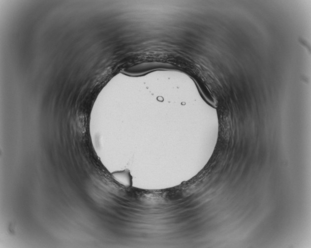 X0000095890232200802081124