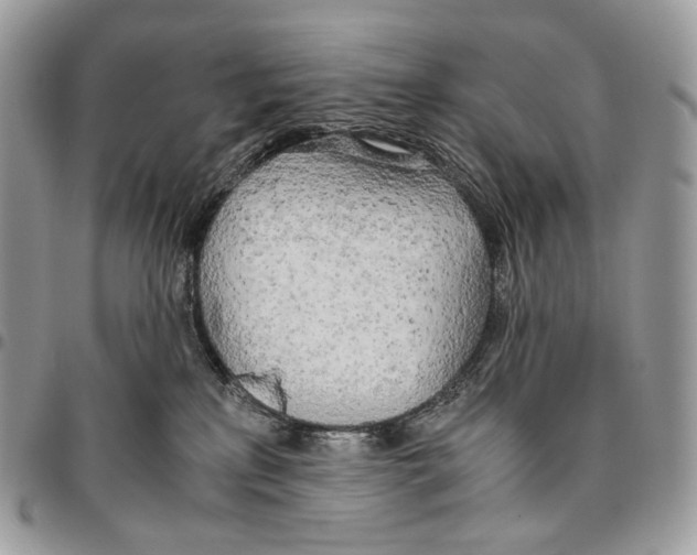 X0000095890233200802081124