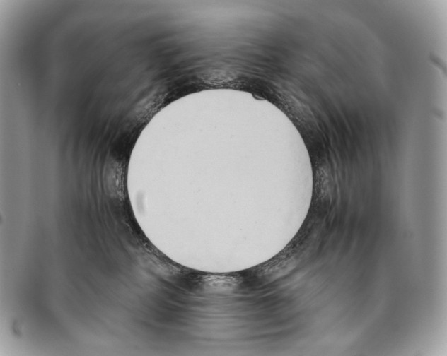 X0000095890234200802081124