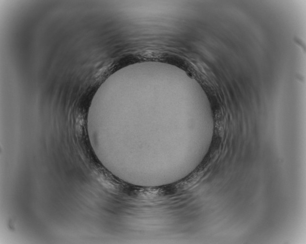 X0000095890235200802081124