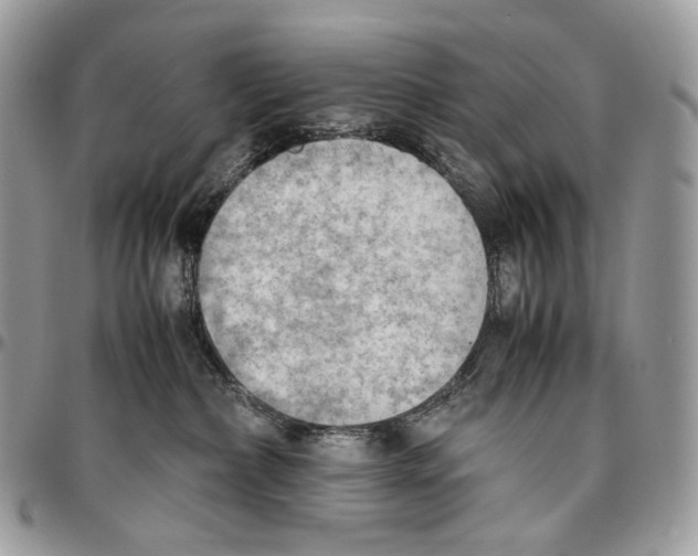 X0000095890236200802081124