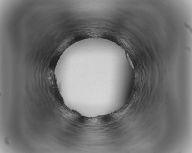 X0000095890237200802081124