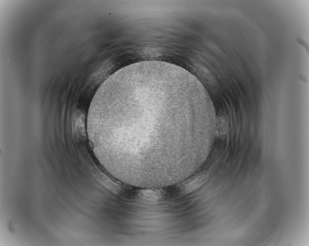 X0000095890238200802081124