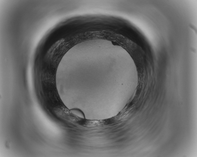 X0000095890239200802081124