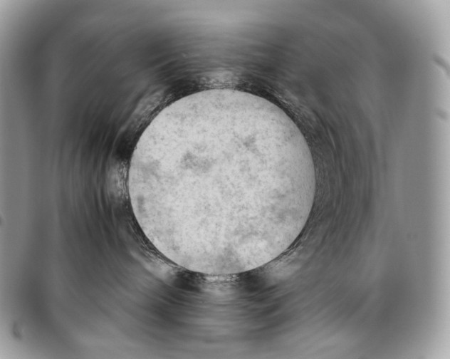 X0000095890240200802081124