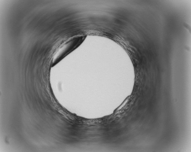 X0000095890241200802081124