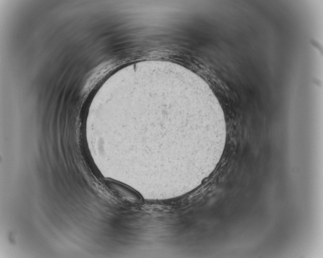X0000095890242200802081124