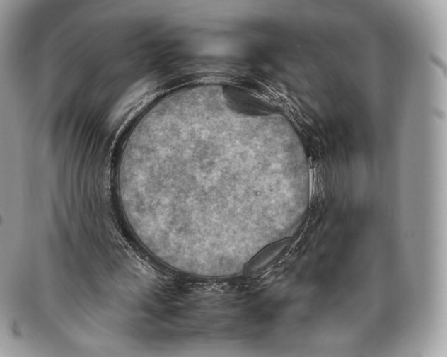 X0000095890243200802081124