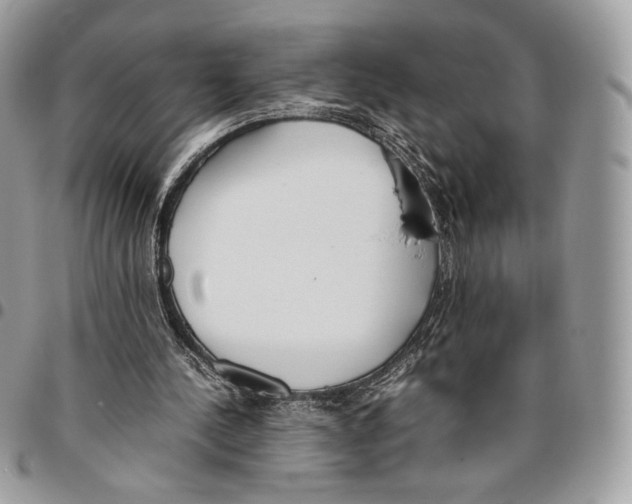 X0000095890244200802081124