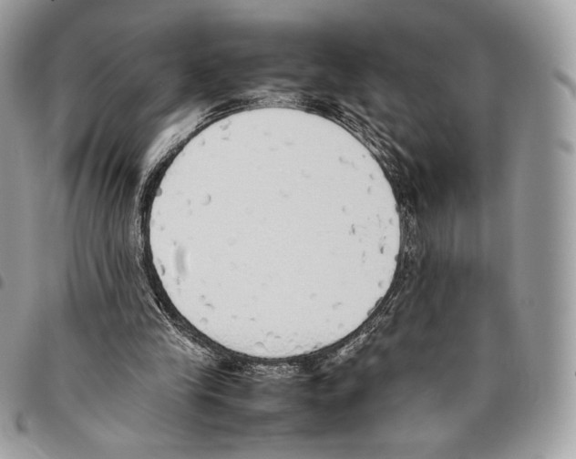 X0000095890245200802081124