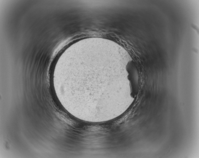 X0000095890246200802081124