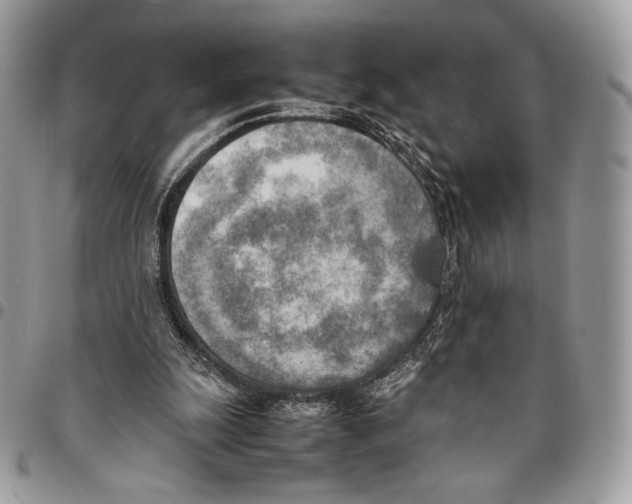 X0000095890247200802081124