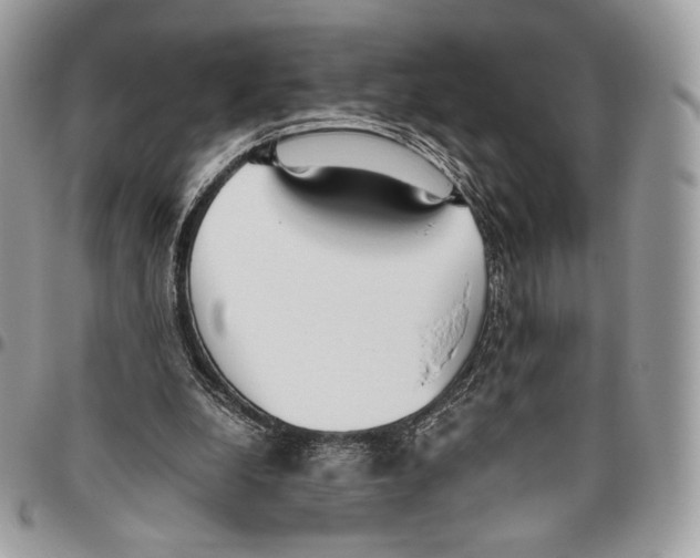 X0000095890248200802081124