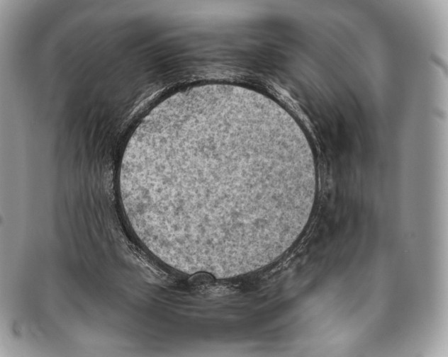 X0000095890249200802081124