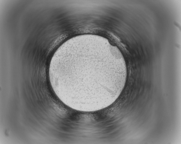 X0000095890250200802081124
