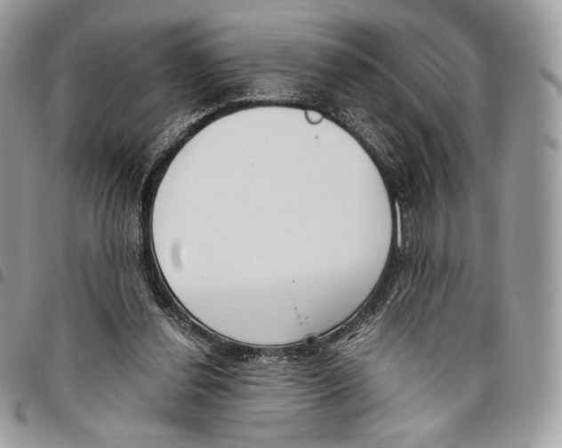 X0000095890252200802081124