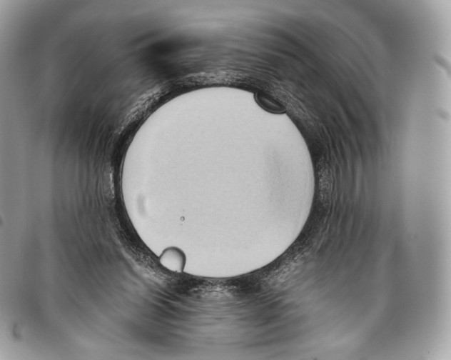 X0000095890254200802081124