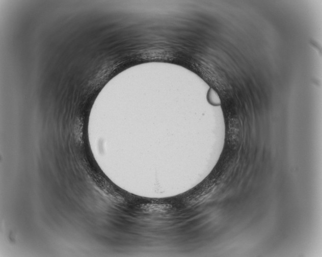 X0000095890255200802081124