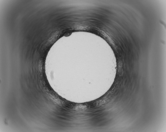X0000095890257200802081124