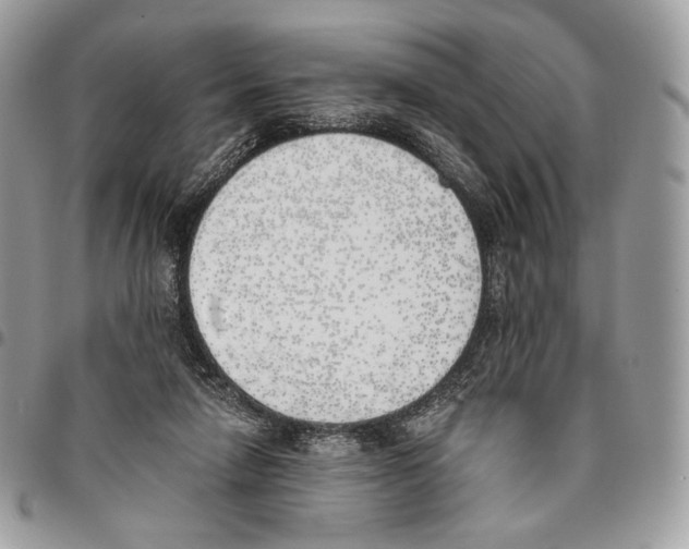 X0000095890258200802081124