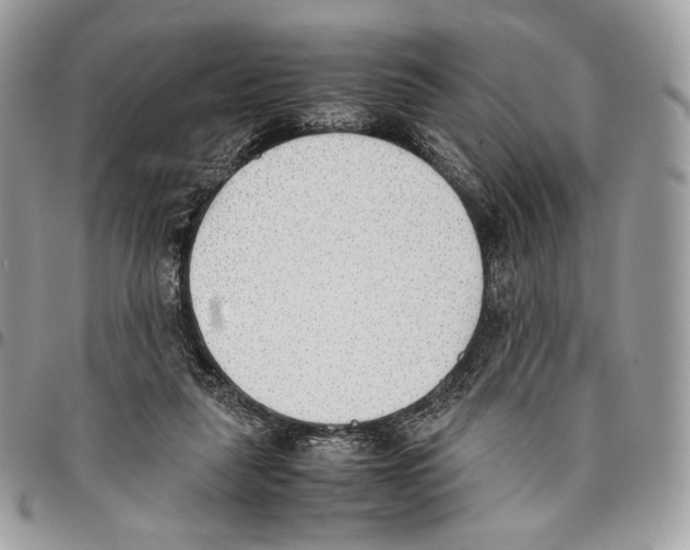 X0000095890259200802081124