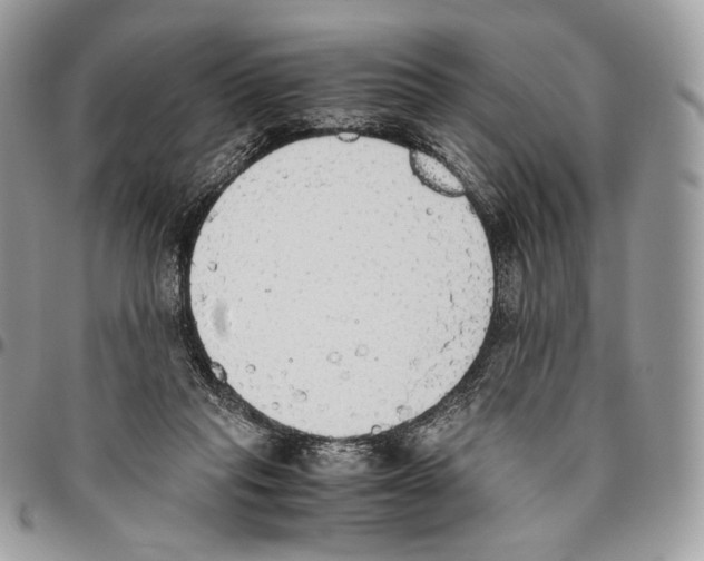 X0000095890261200802081124