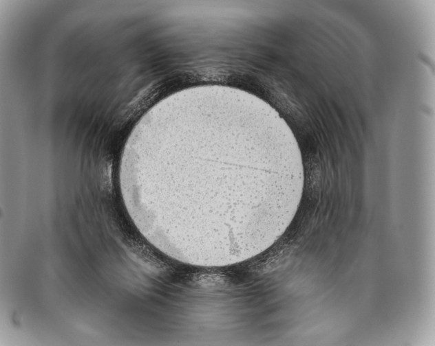 X0000095890262200802081124