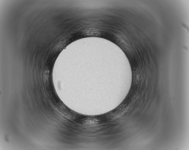 X0000095890263200802081124