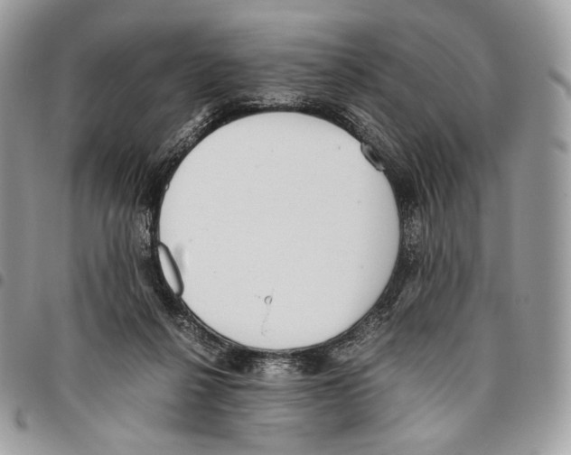 X0000095890264200802081124