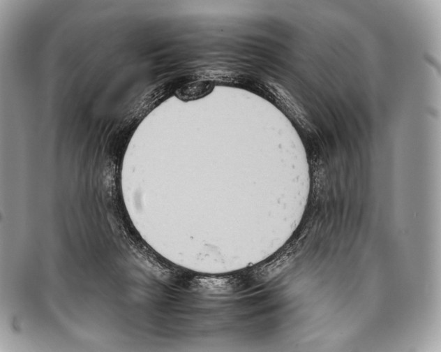 X0000095890265200802081124