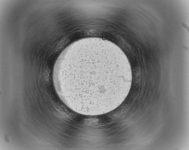 X0000095890266200802081124