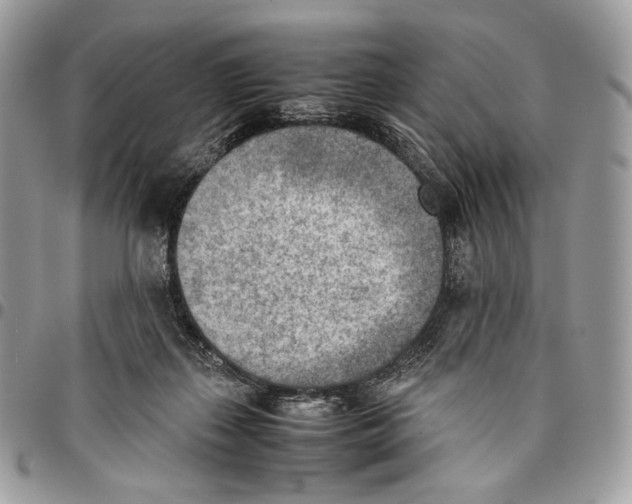 X0000095890267200802081124
