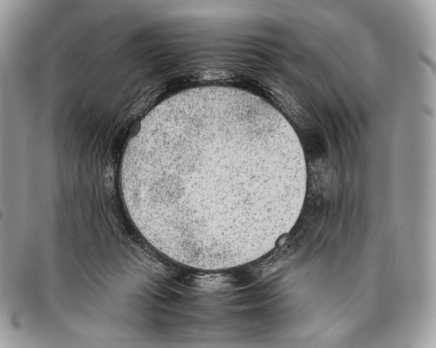 X0000095890269200802081124
