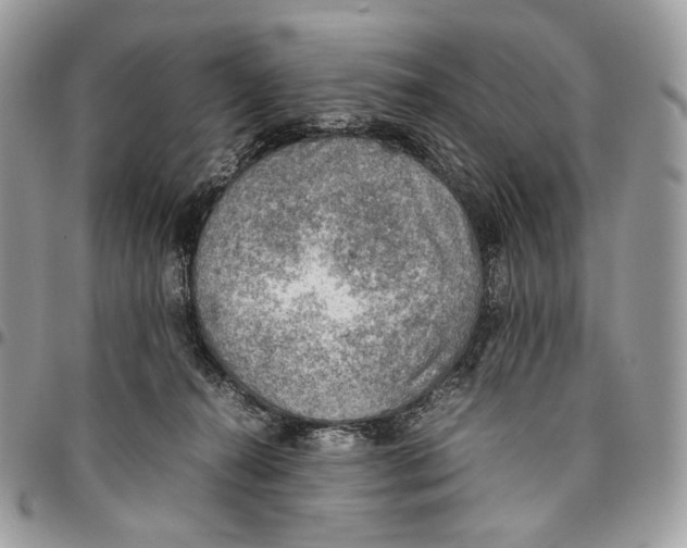 X0000095890272200802081124