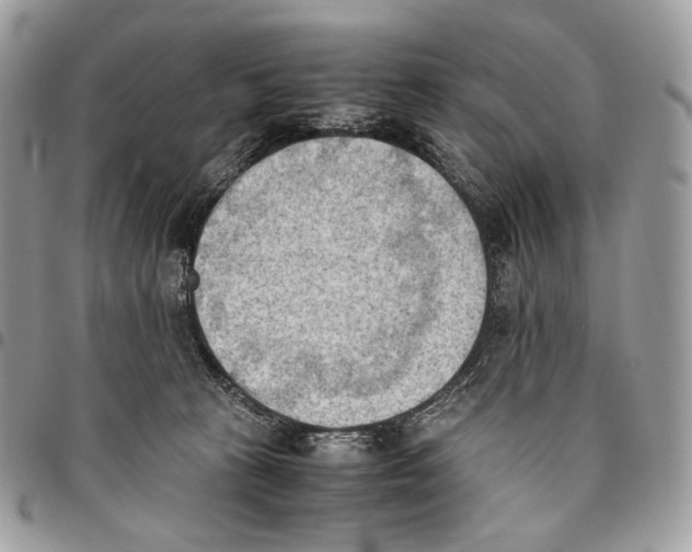 X0000095890273200802081124