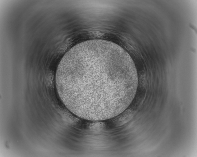 X0000095890274200802081124