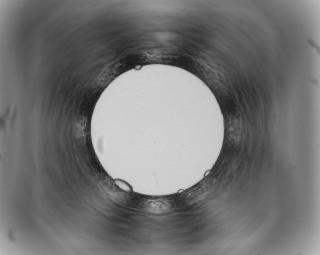 X0000095890275200802081124