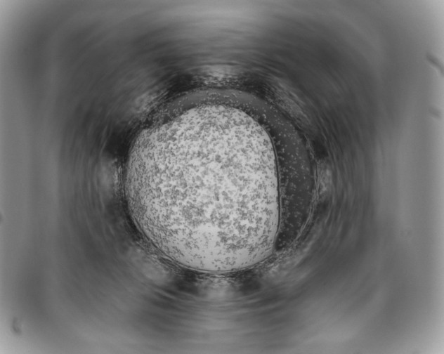 X0000095890276200802081124