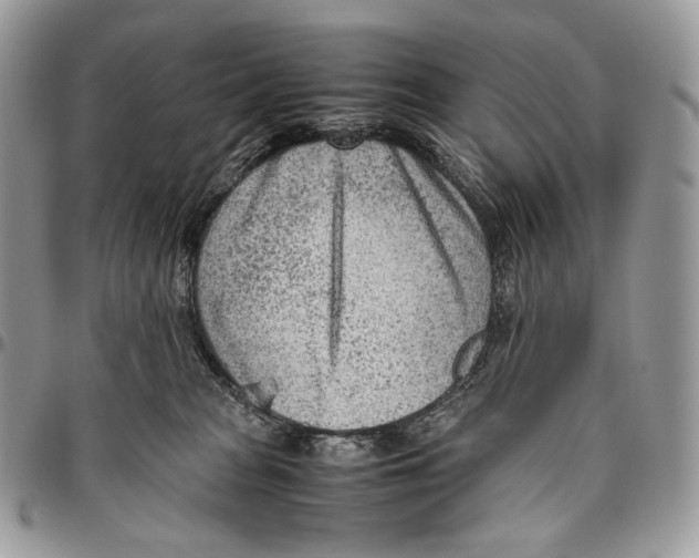 X0000095890277200802081124
