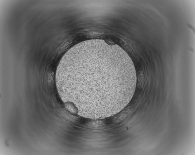 X0000095890278200802081124