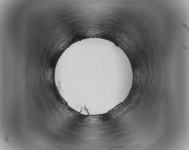 X0000095890280200802081124