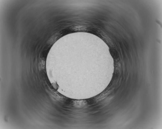 X0000095890281200802081124