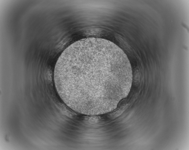 X0000095890282200802081124
