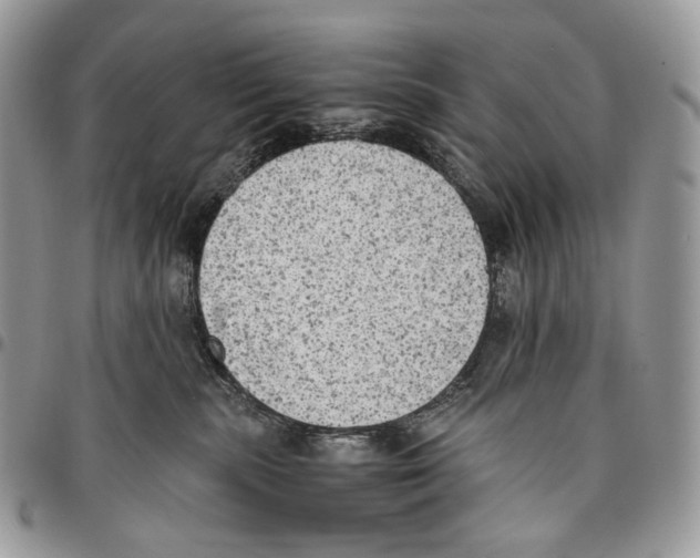 X0000095890283200802081124