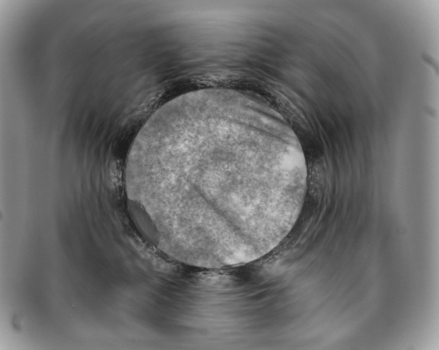 X0000095890284200802081124