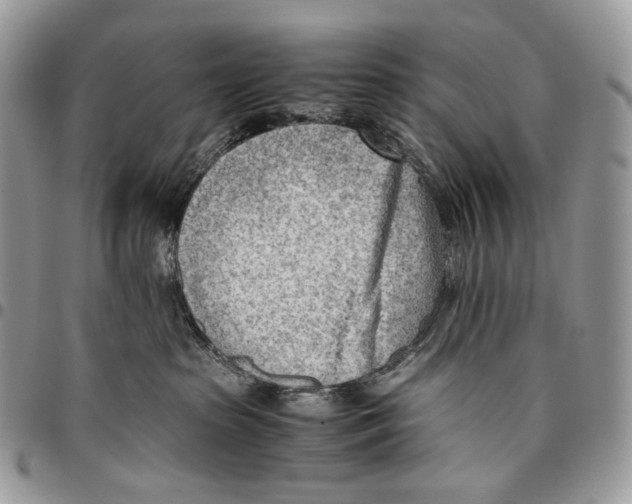 X0000095890285200802081124