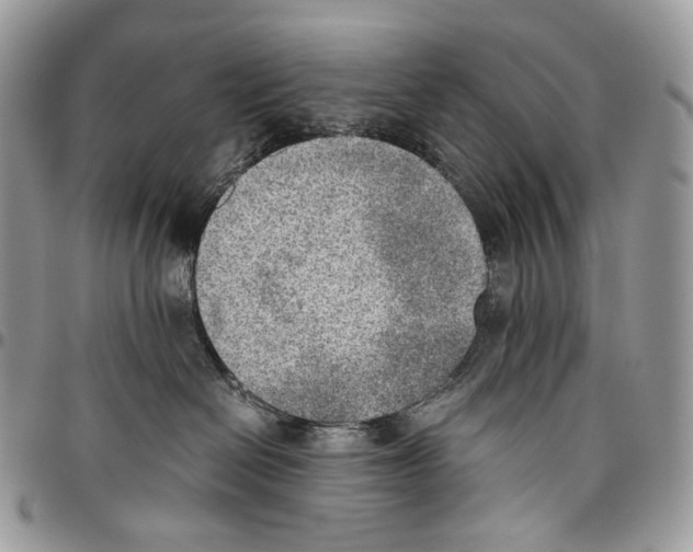 X0000095890286200802081124