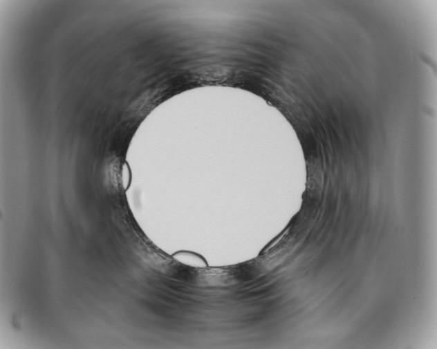 X0000095890287200802081124