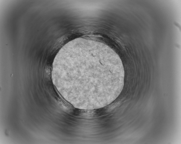 X0000095890288200802081124