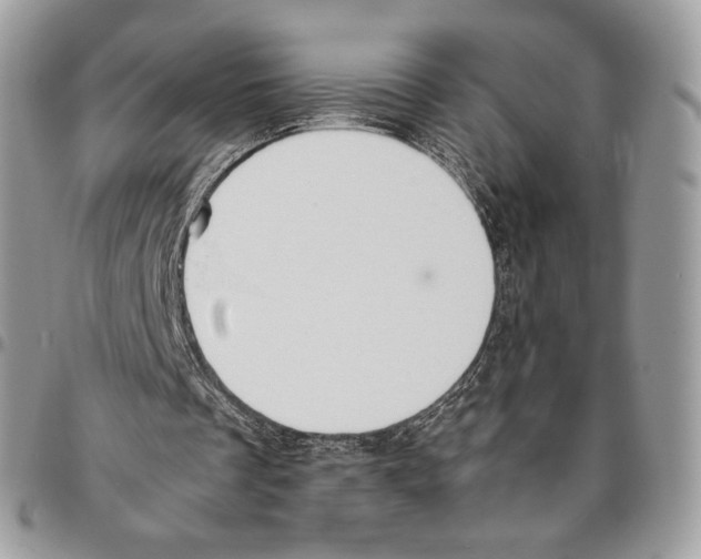 X0000095890289200802081124